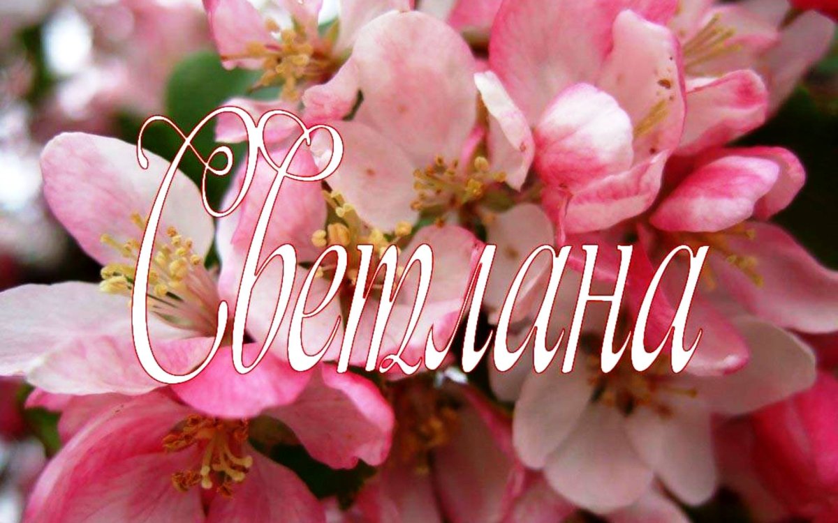 Мученица Фотина (Светлана) Самаряныня, Римская