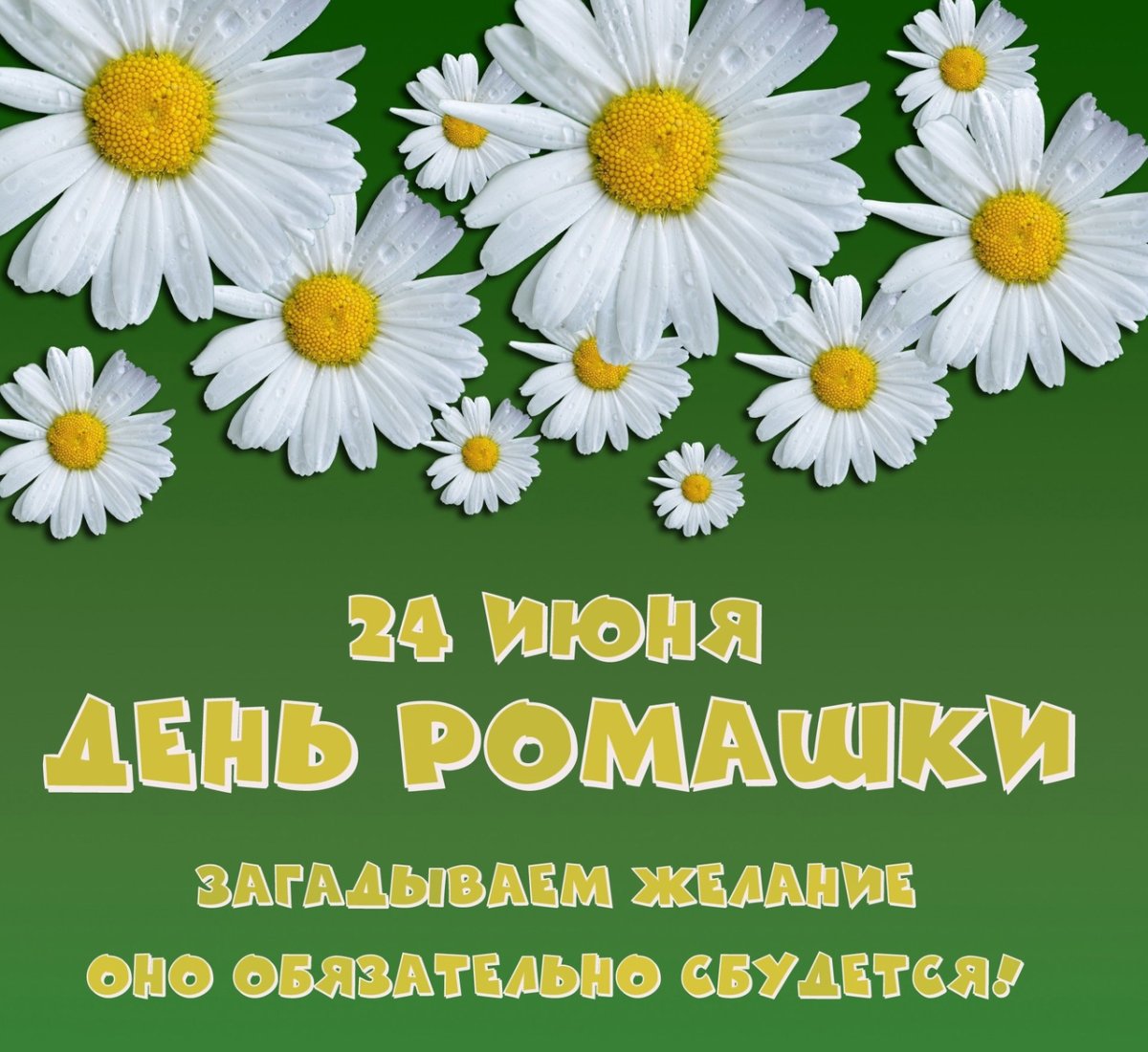 Солнечный букет ромашек