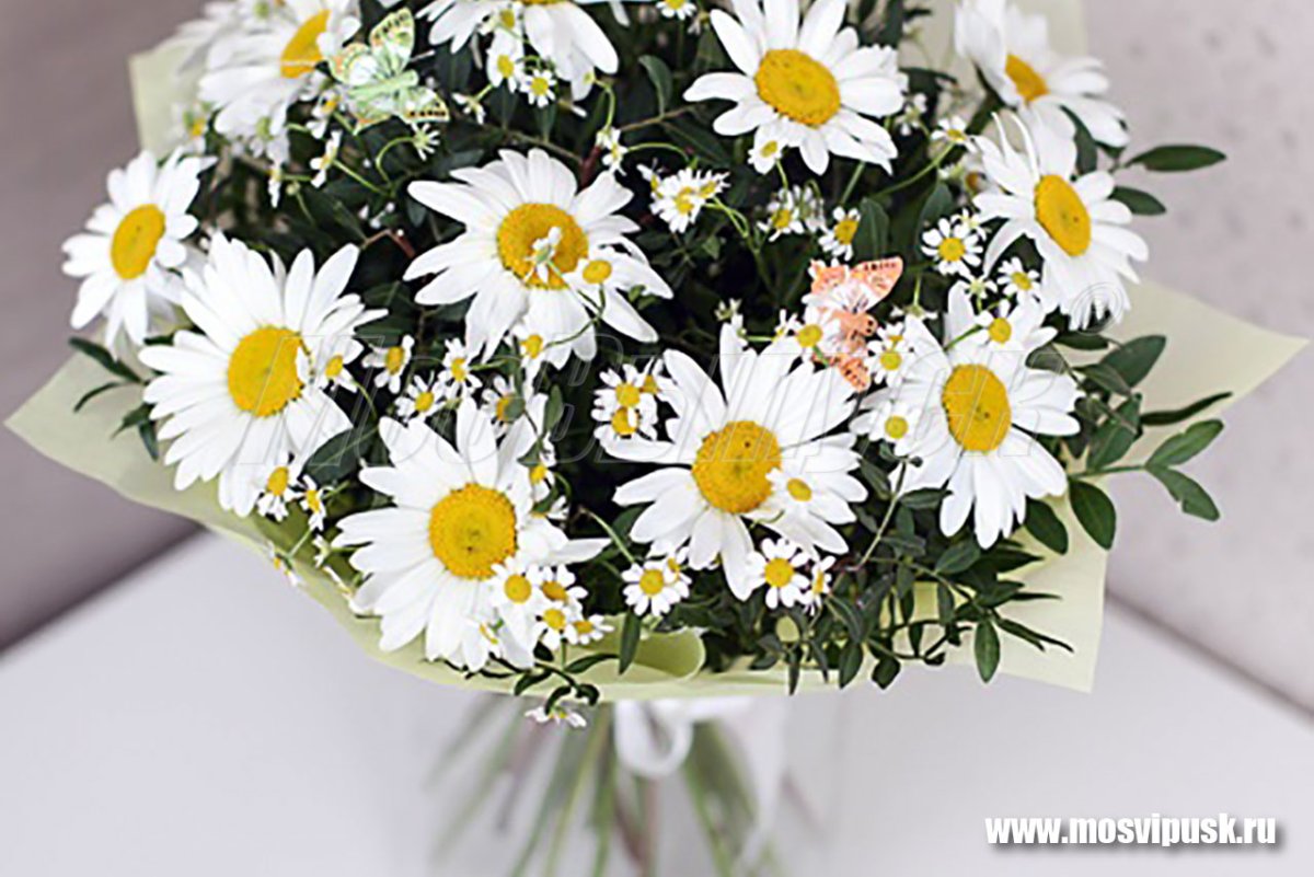 Букет из ромашек