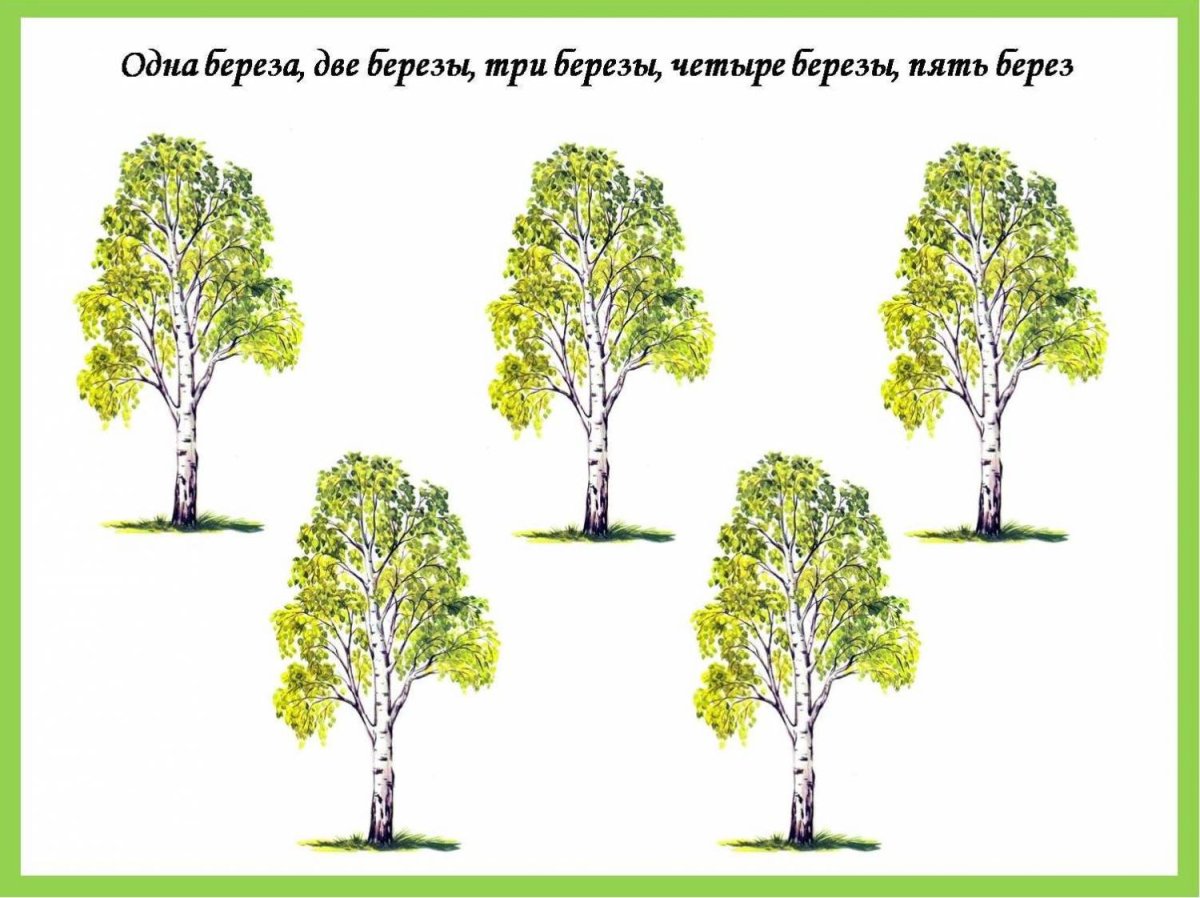 Раздаточный материал деревья