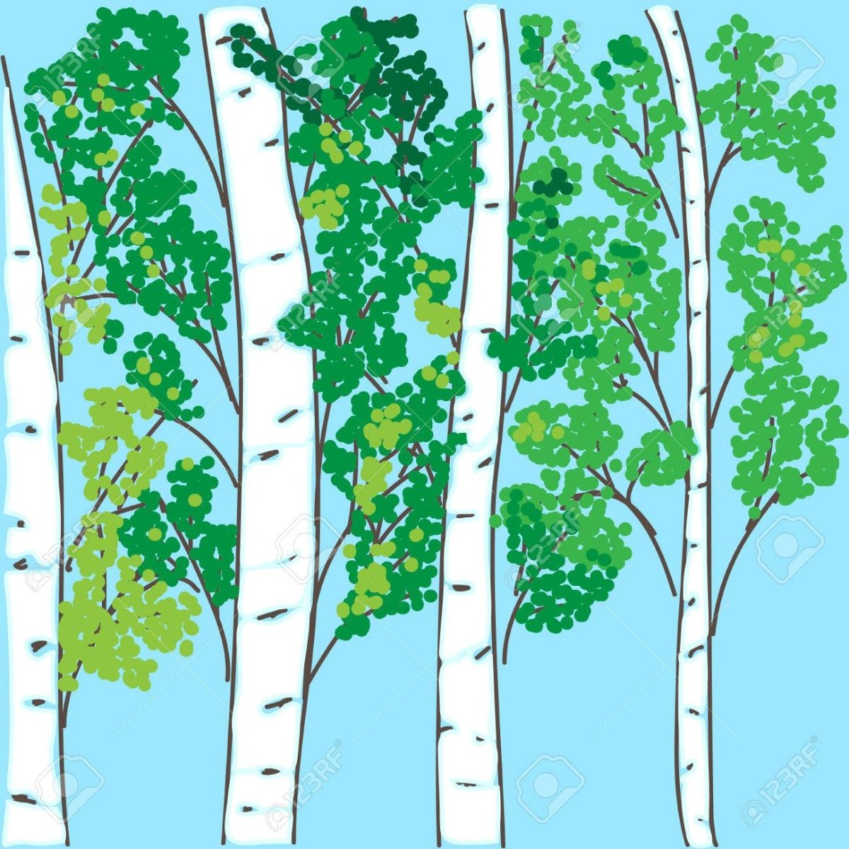 Березы на заборе рисунок