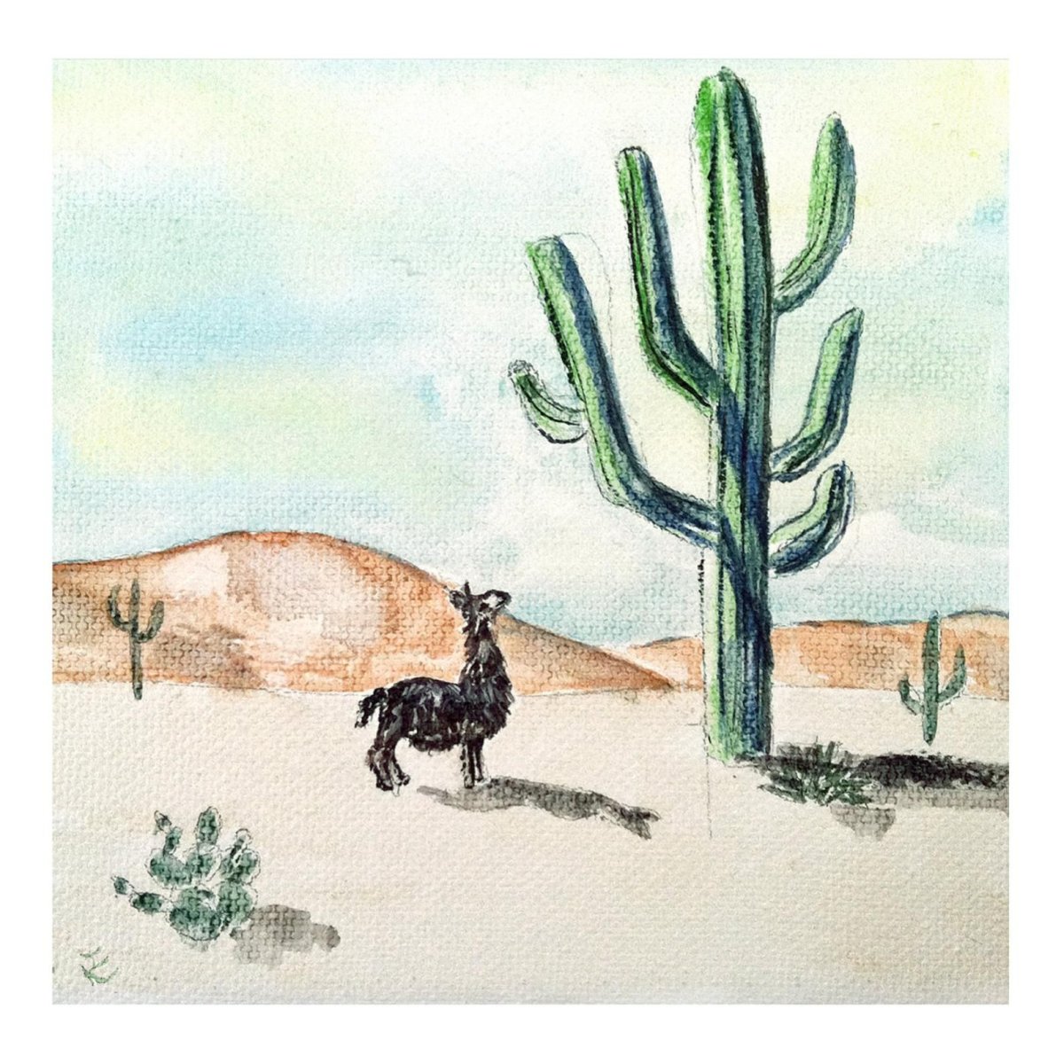 Кактус в пустыне