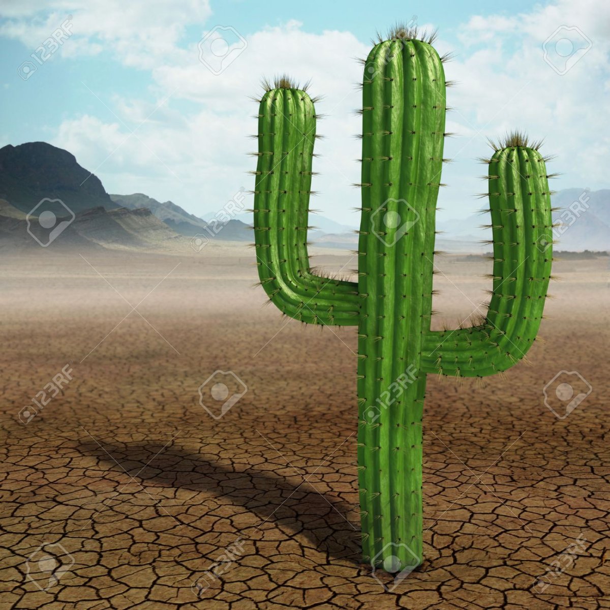 Cactus Torch 3d obj