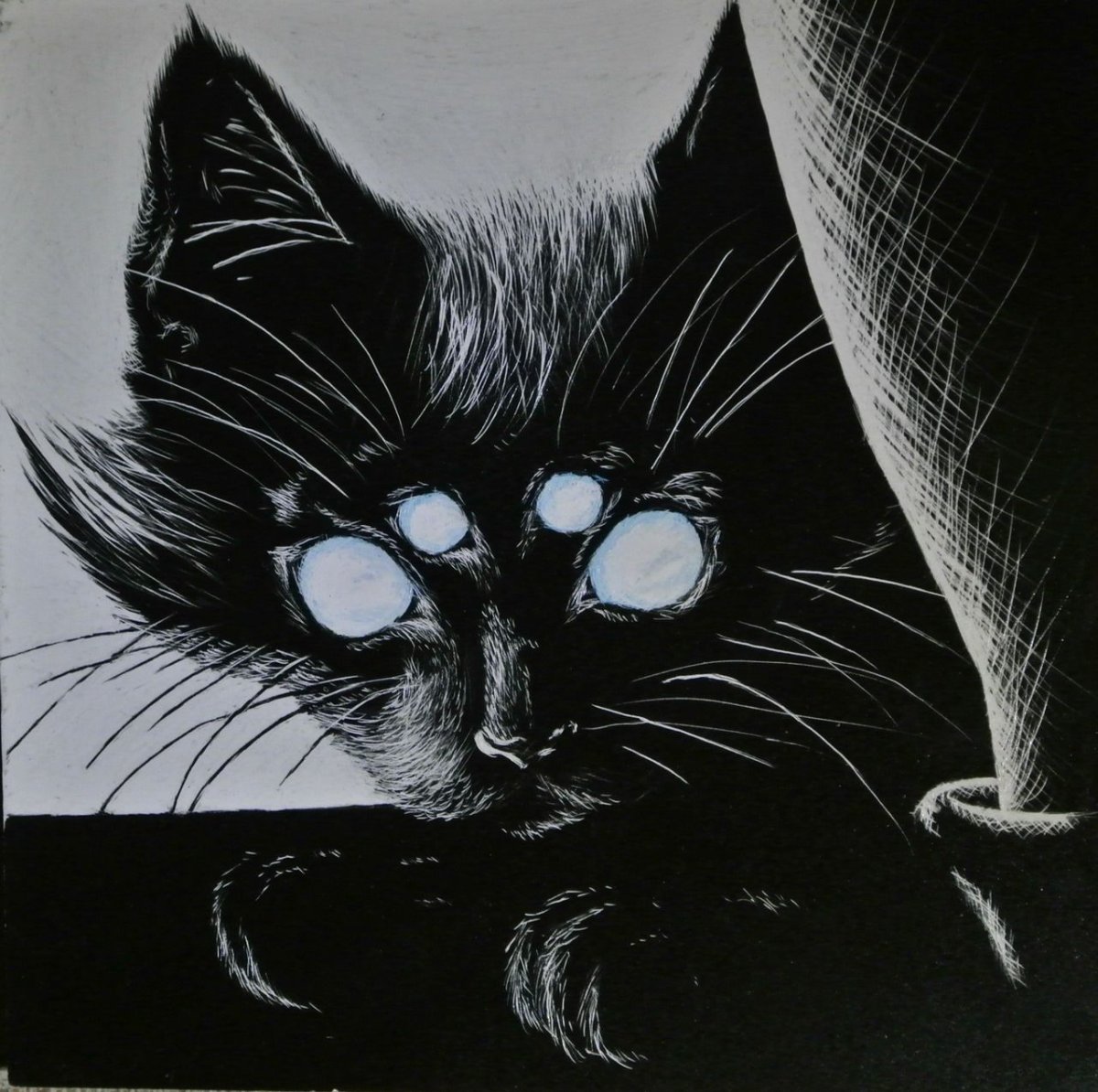 Морда кошки