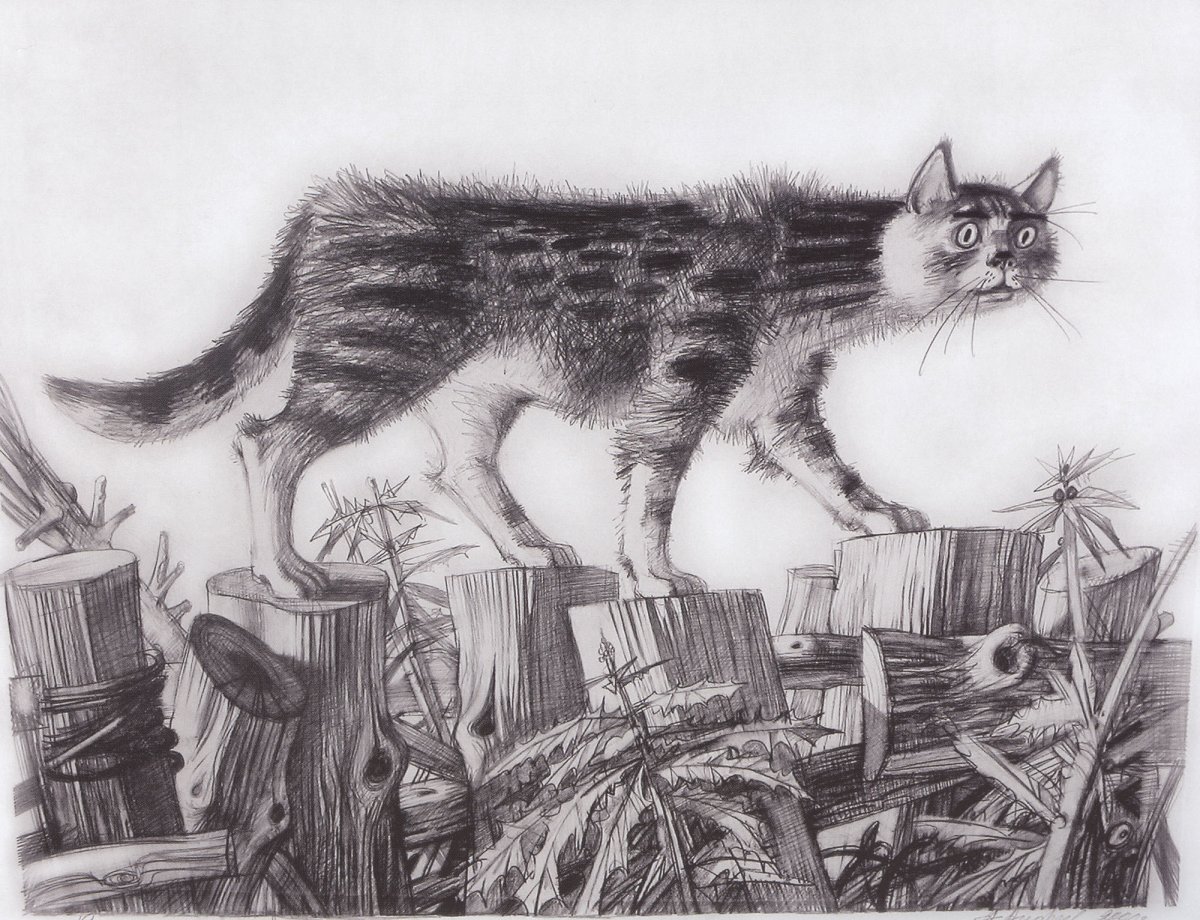 Кошка очки карикатура