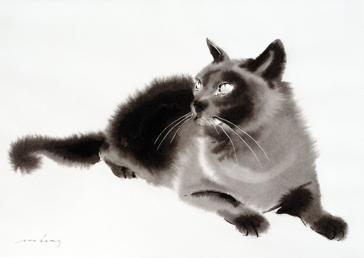 Кошка тушью зарисовка