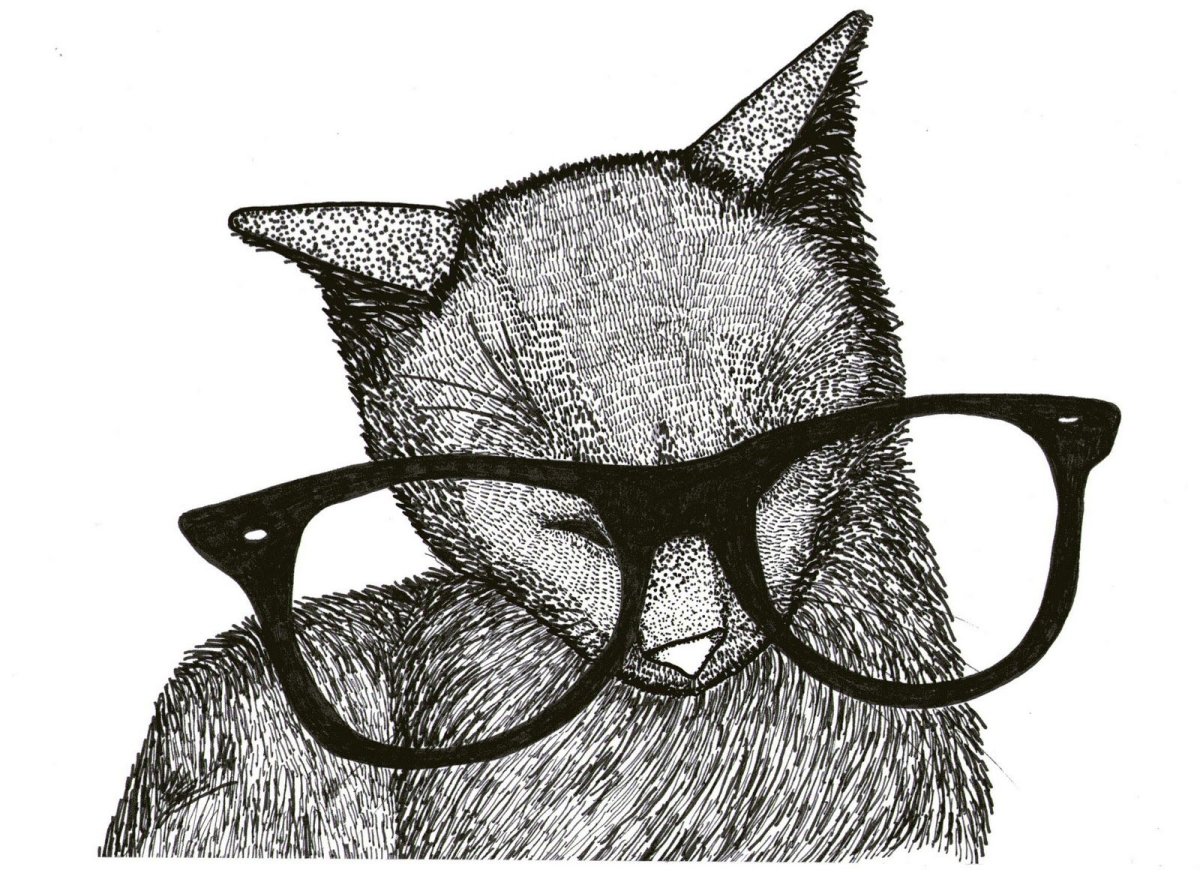 Кошка Графика эскиз