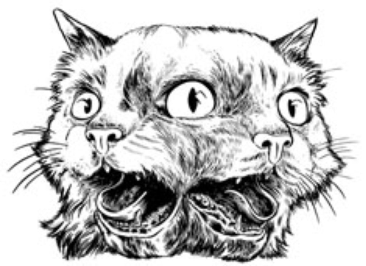 Векторное изображение кошки