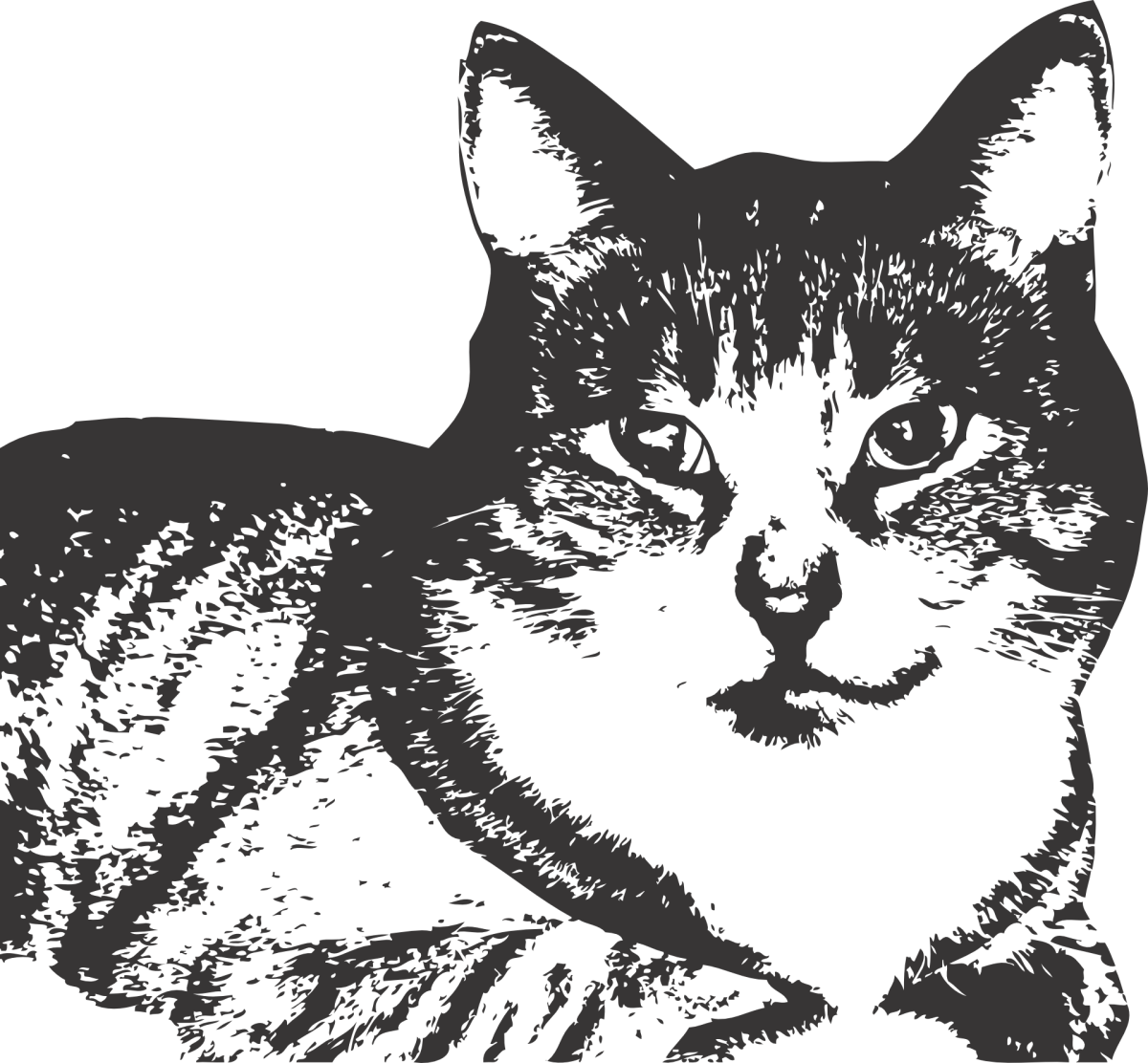 Черная кошка эскиз