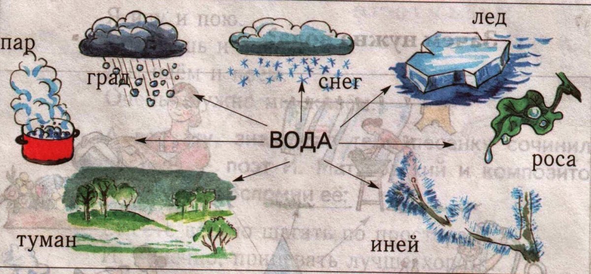 Свойства воды для детей