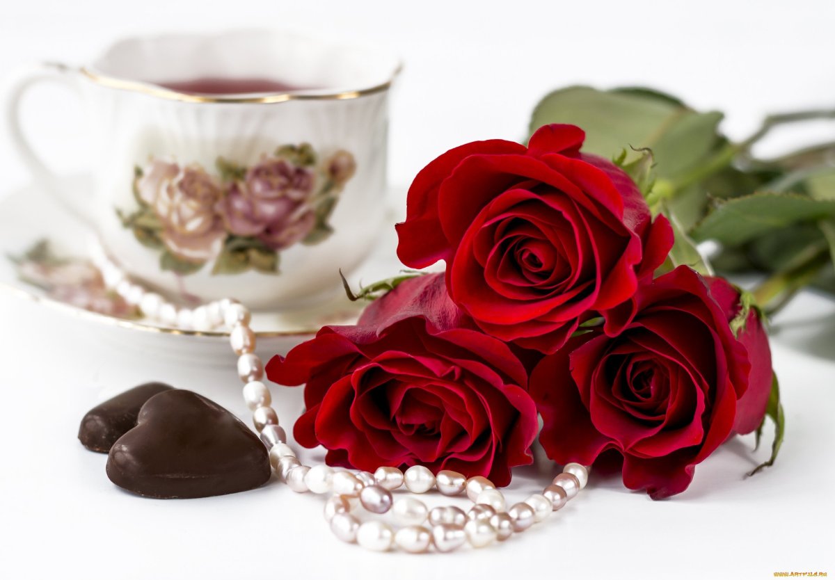 Доброе утро розы