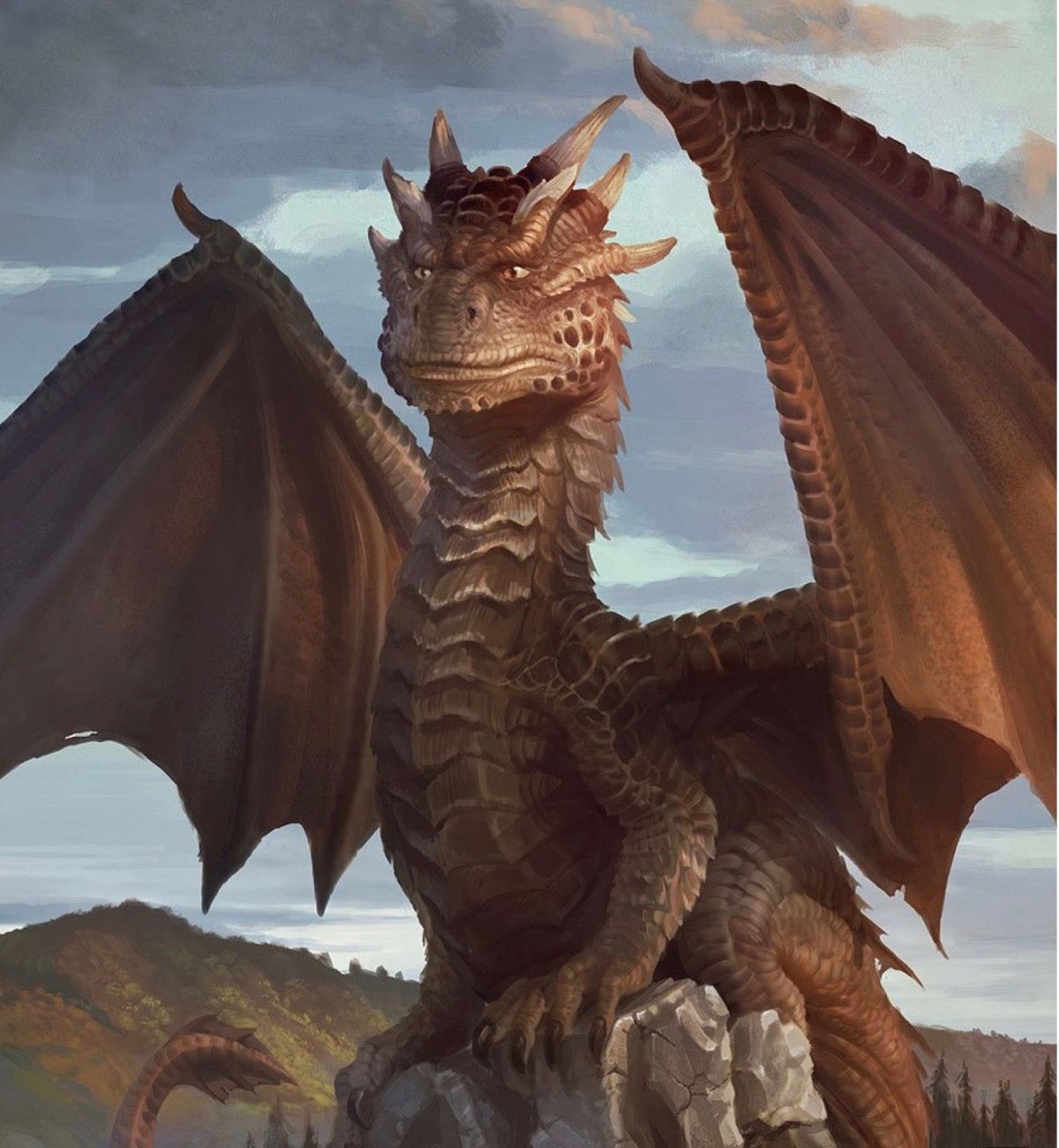 Дракон сердце дракона Драко