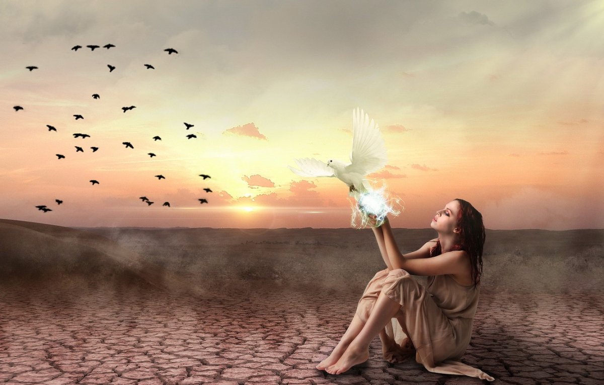 Хумай Мифические птицы