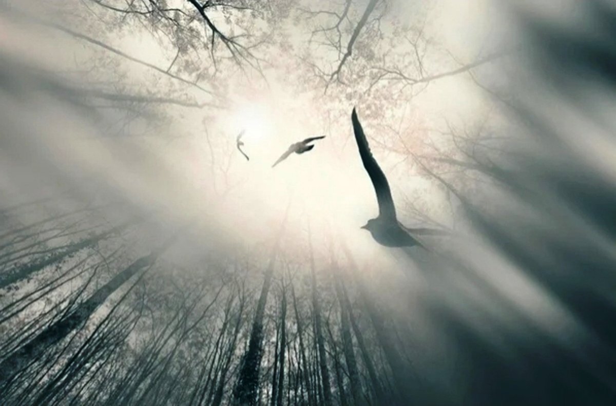 Девушка лебедь