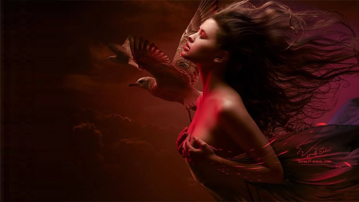 Девушка и птицы картинки