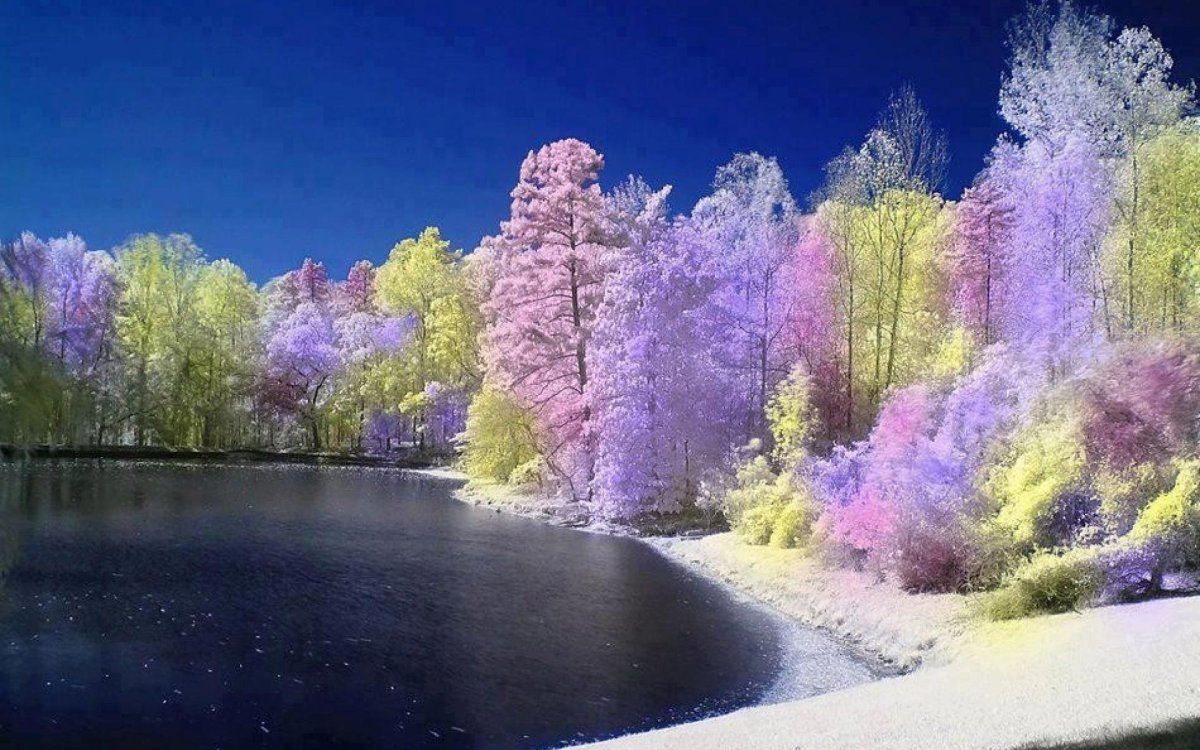 Великолепие природы