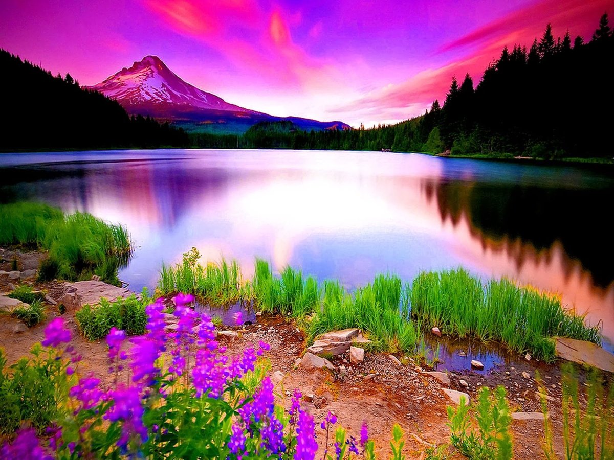 Сказочная природа