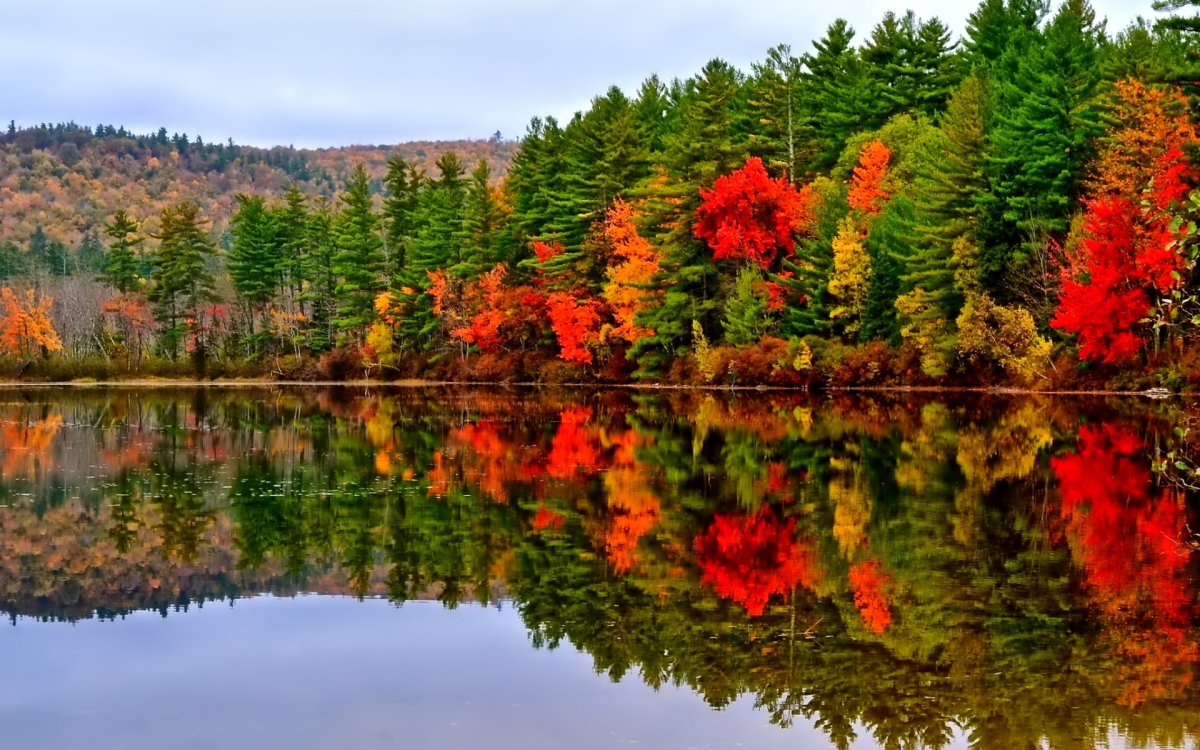 Природа озеро осень