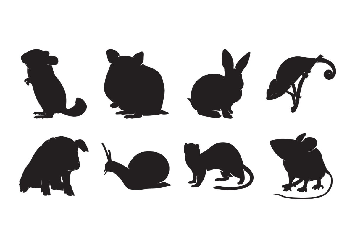 Тени животных