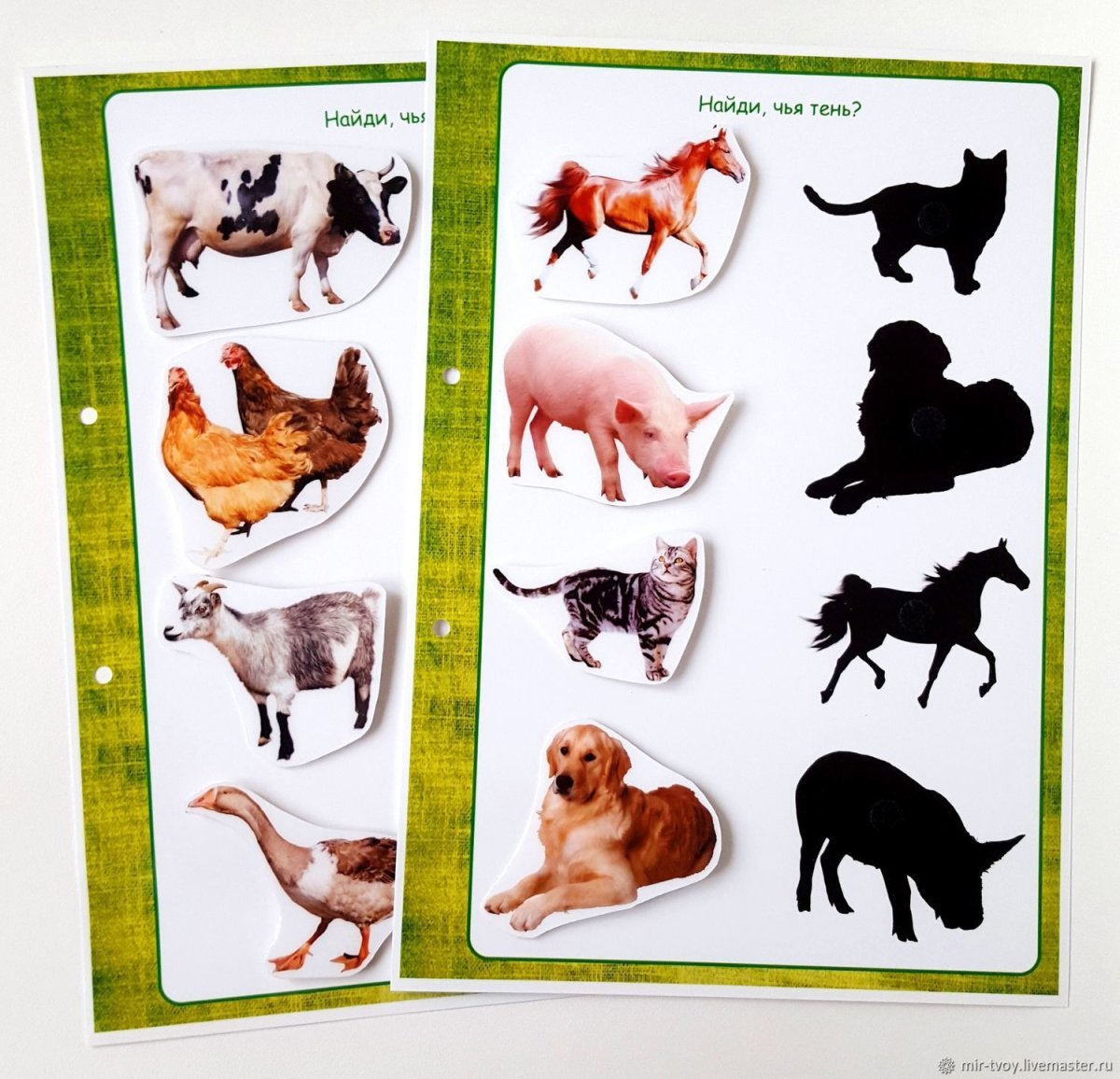 Тени домашних животных