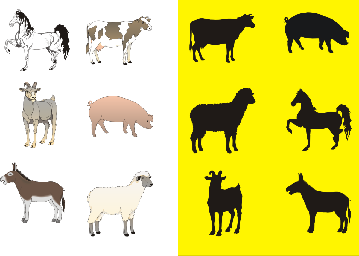 Тени домашних животных