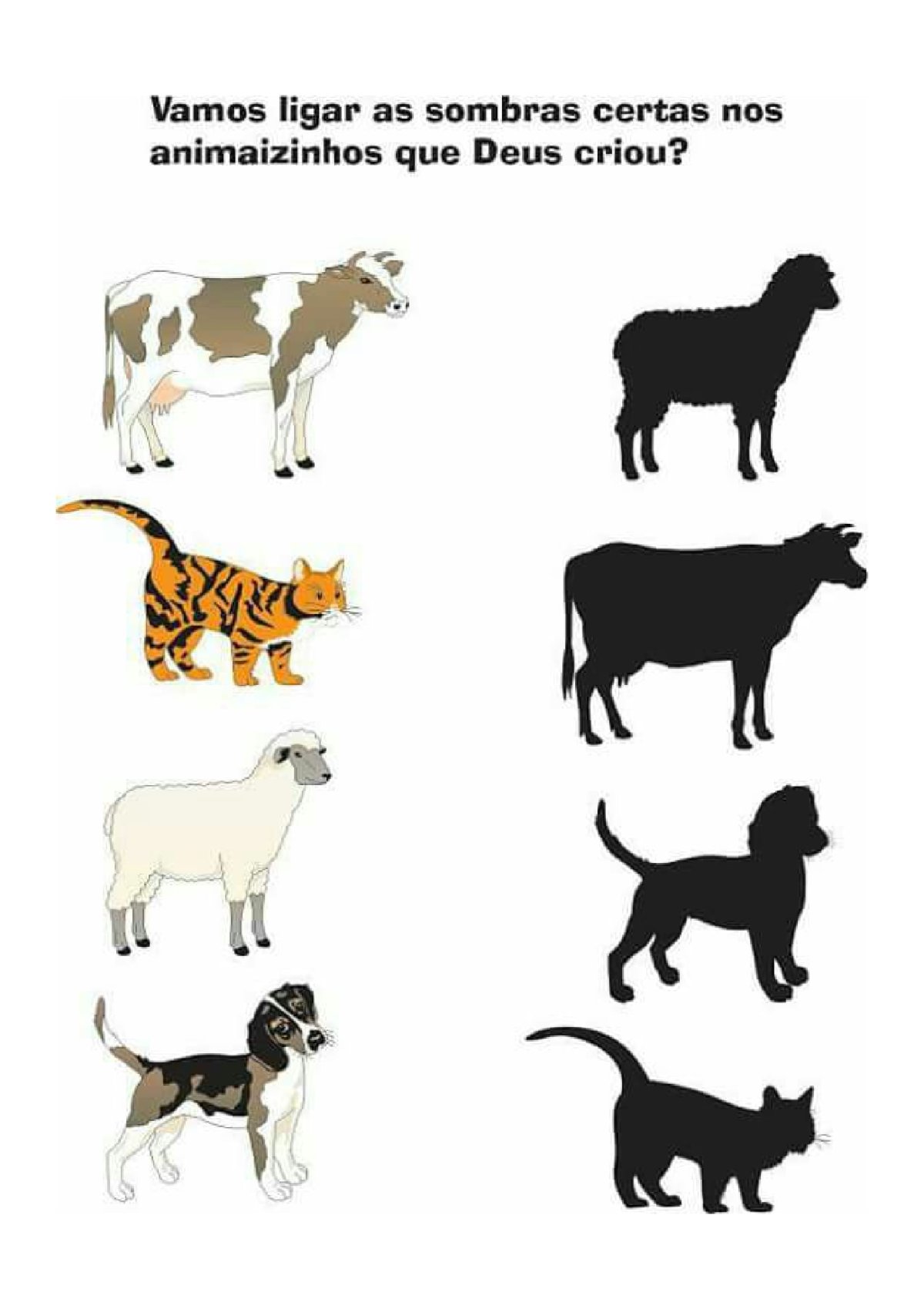 Тени домашних животных