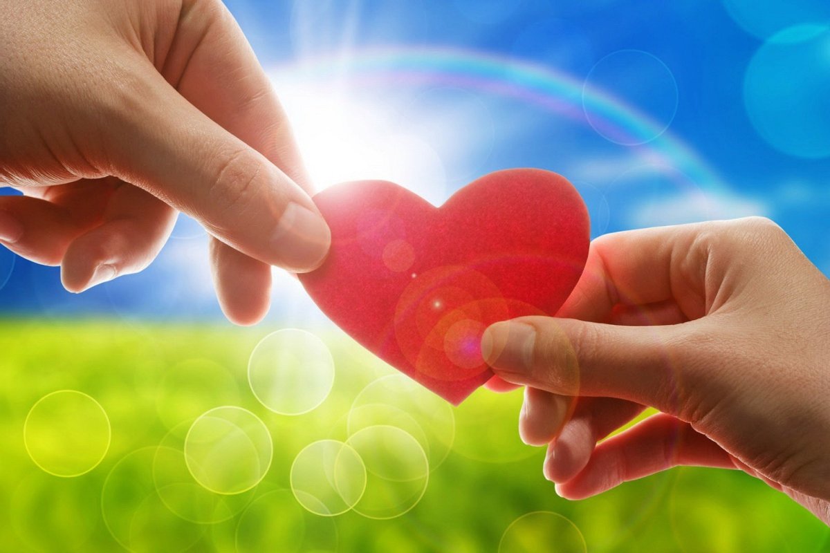 Дарю сердце