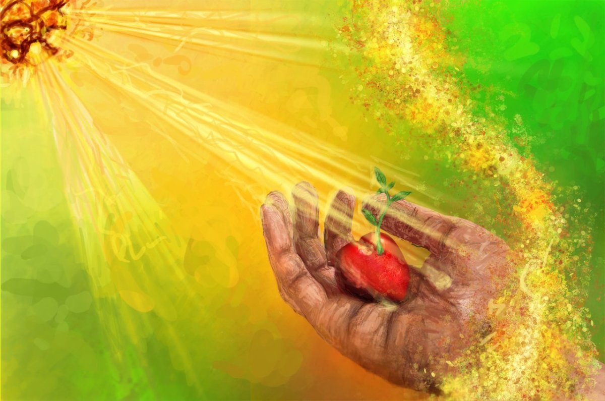 Доброта картинки