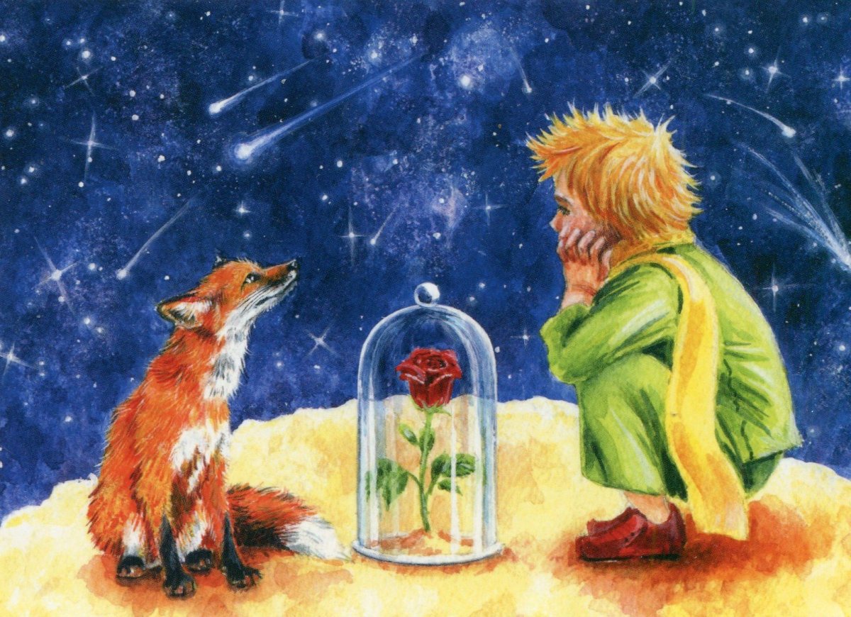 Маленький принц Лис и роза