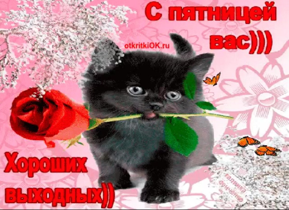 С пятницей цветы