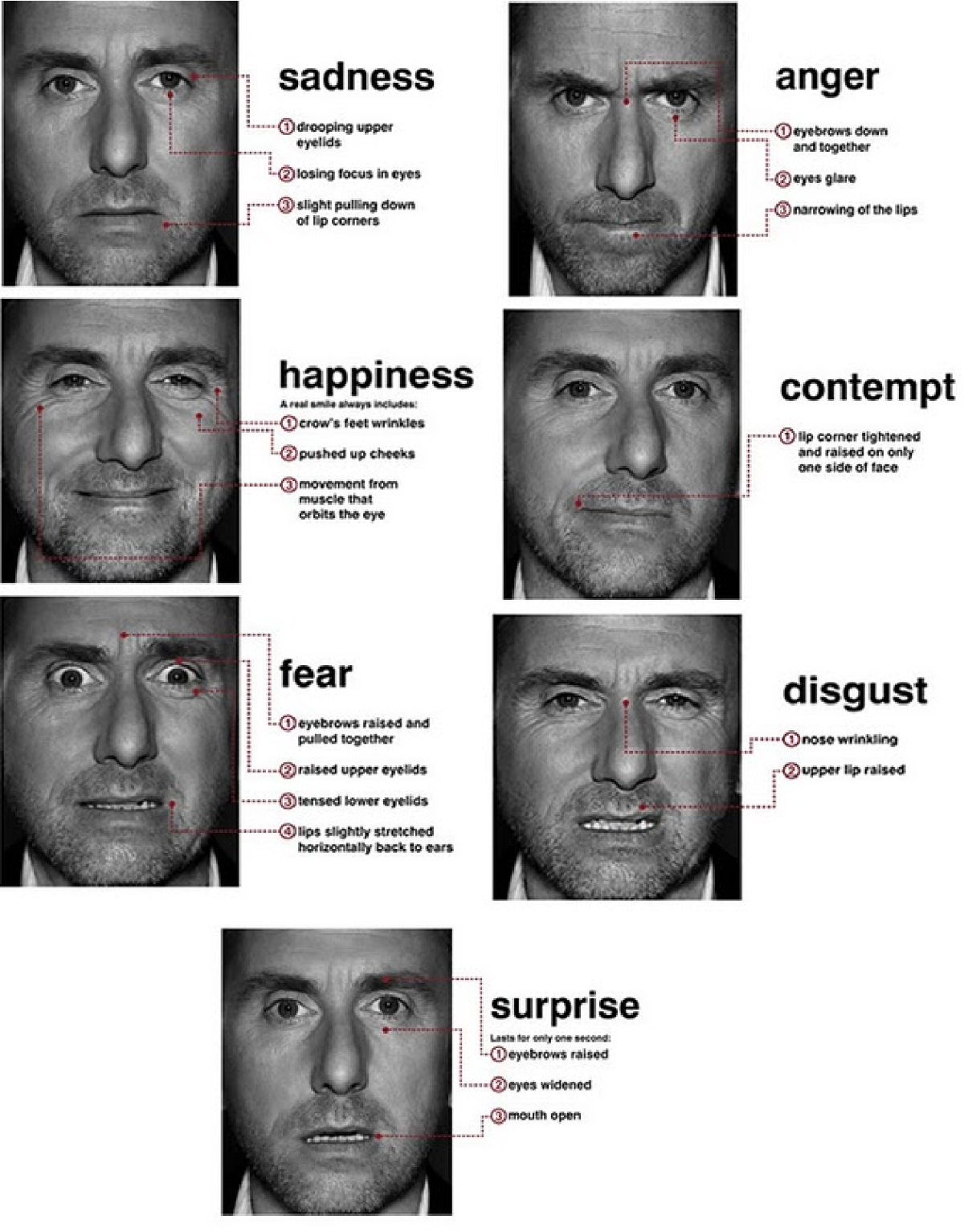 Основные эмоции мимика