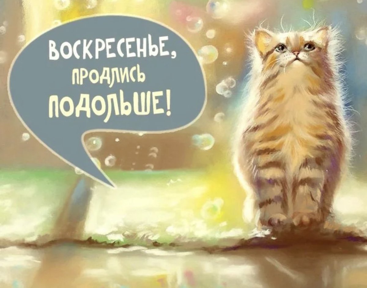 С добрым воскресным утром