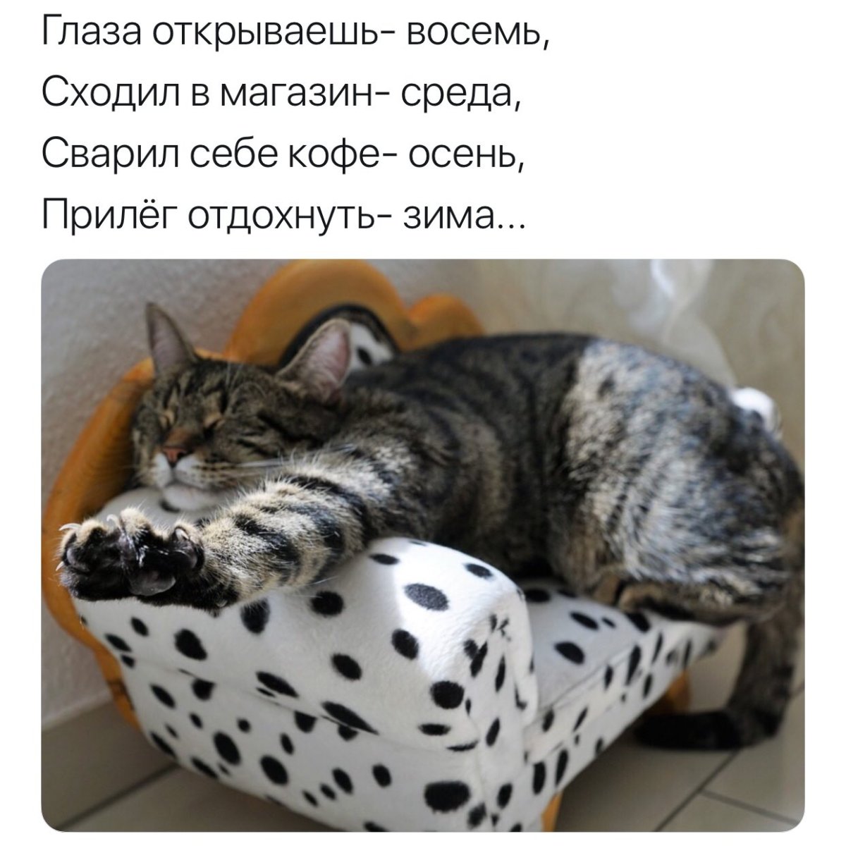 Доброе утро осеннее воскресенье прикольные