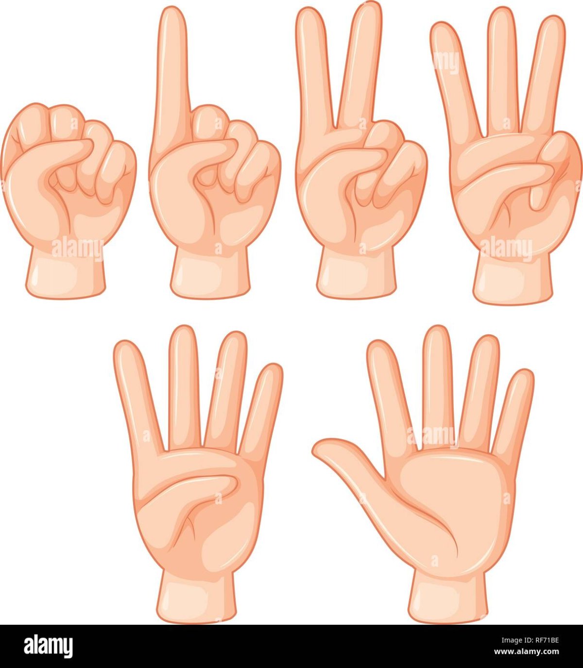 Жесты рук вектор