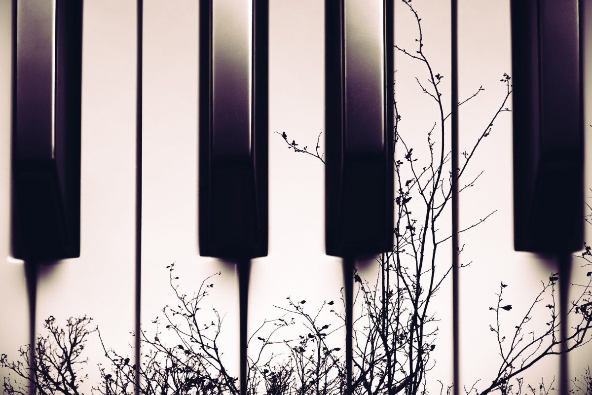 Клавиши пианино