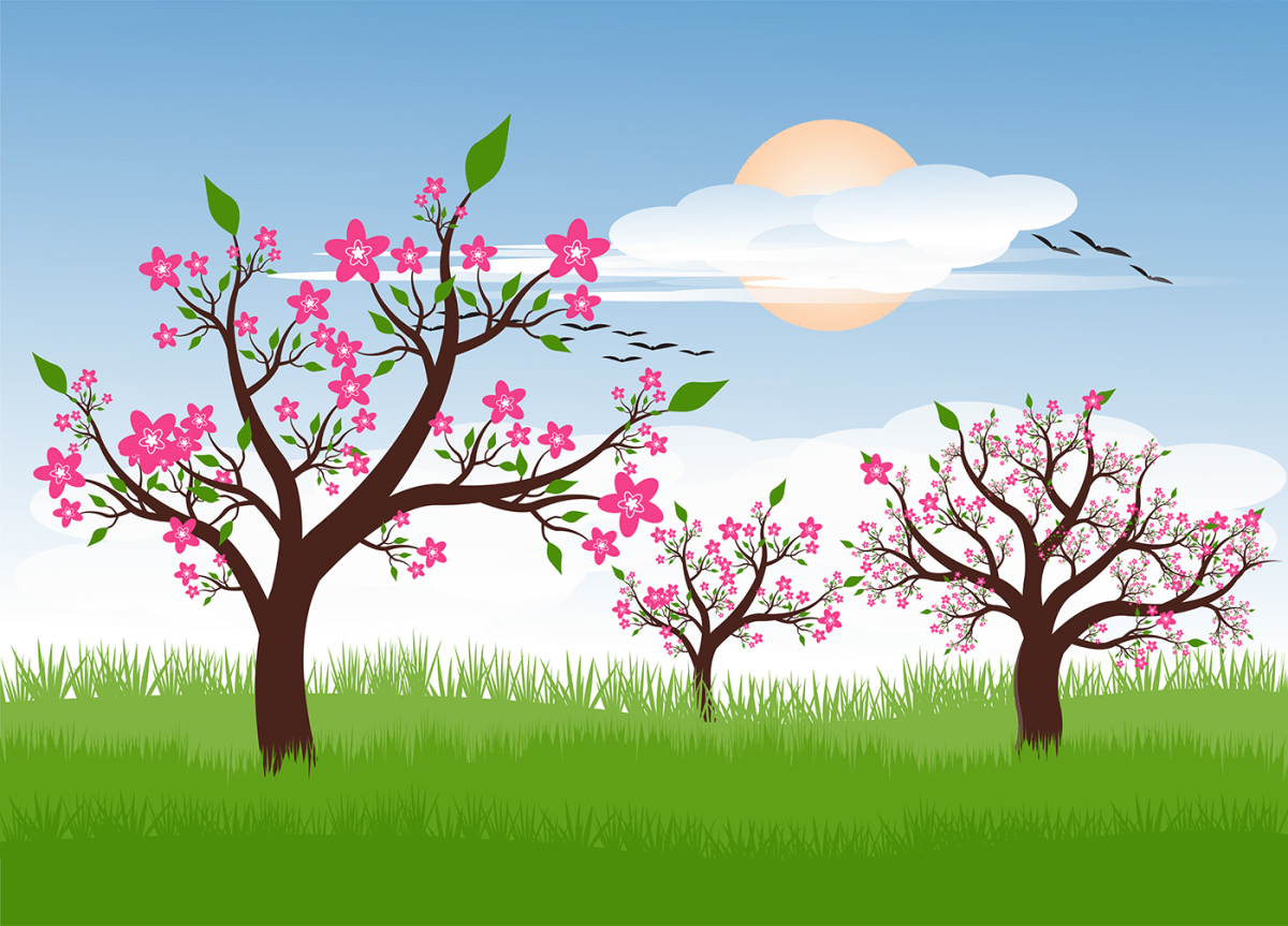 Весенняя обложка для группы