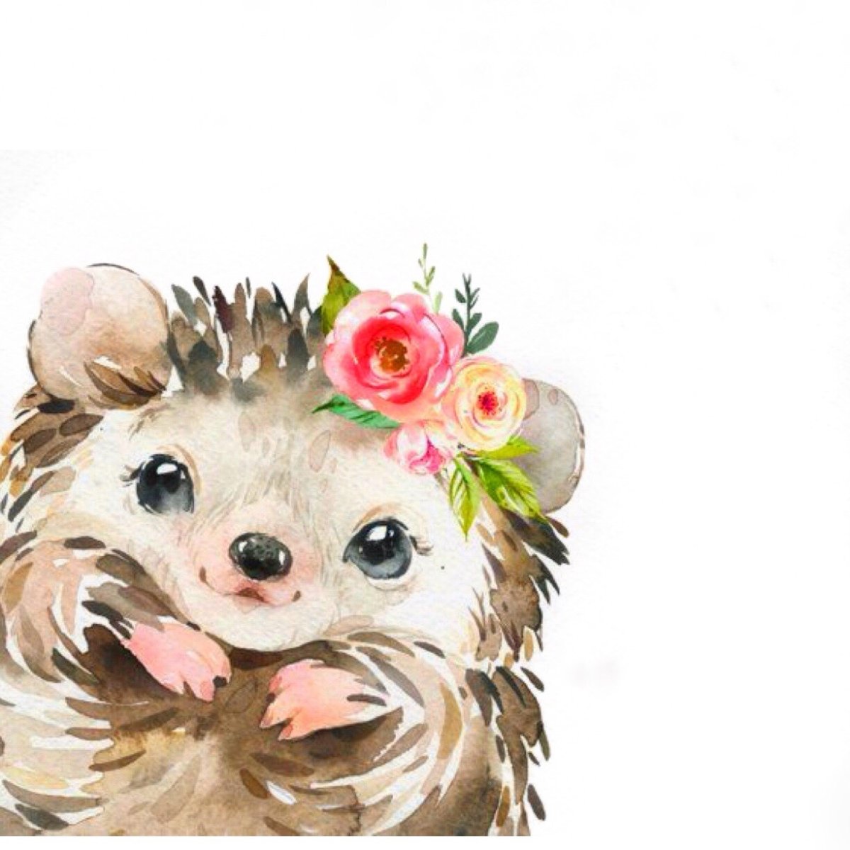 Акварельные зверушки