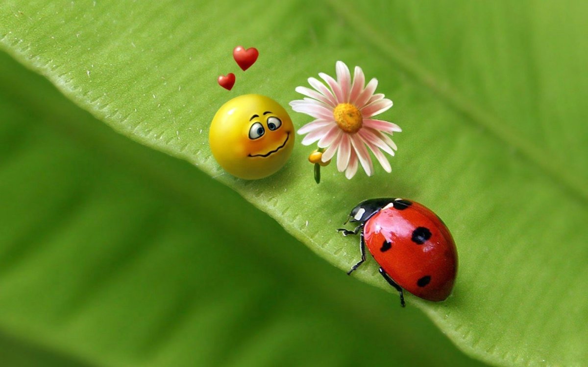 Открытка "хорошего настроения"