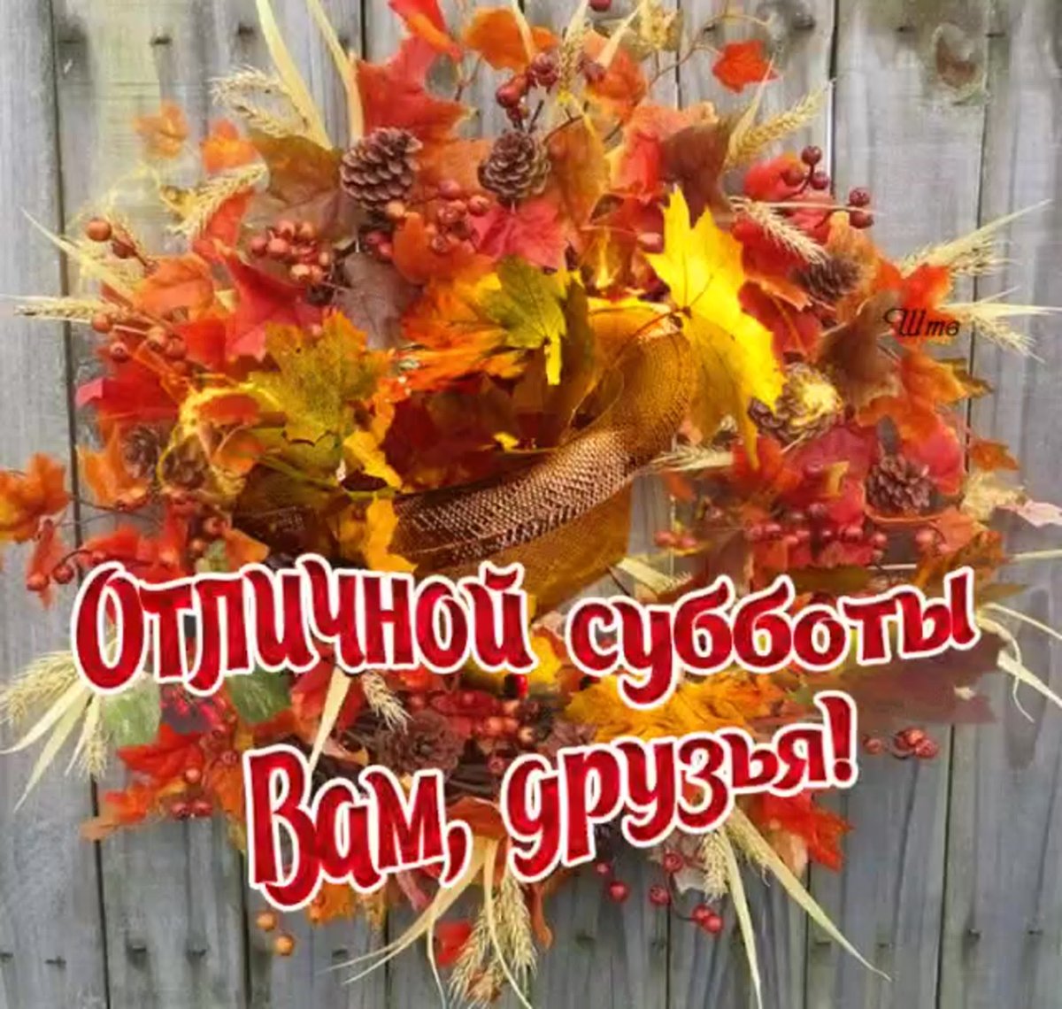 Хорошего субботнего дня и отличного настроения