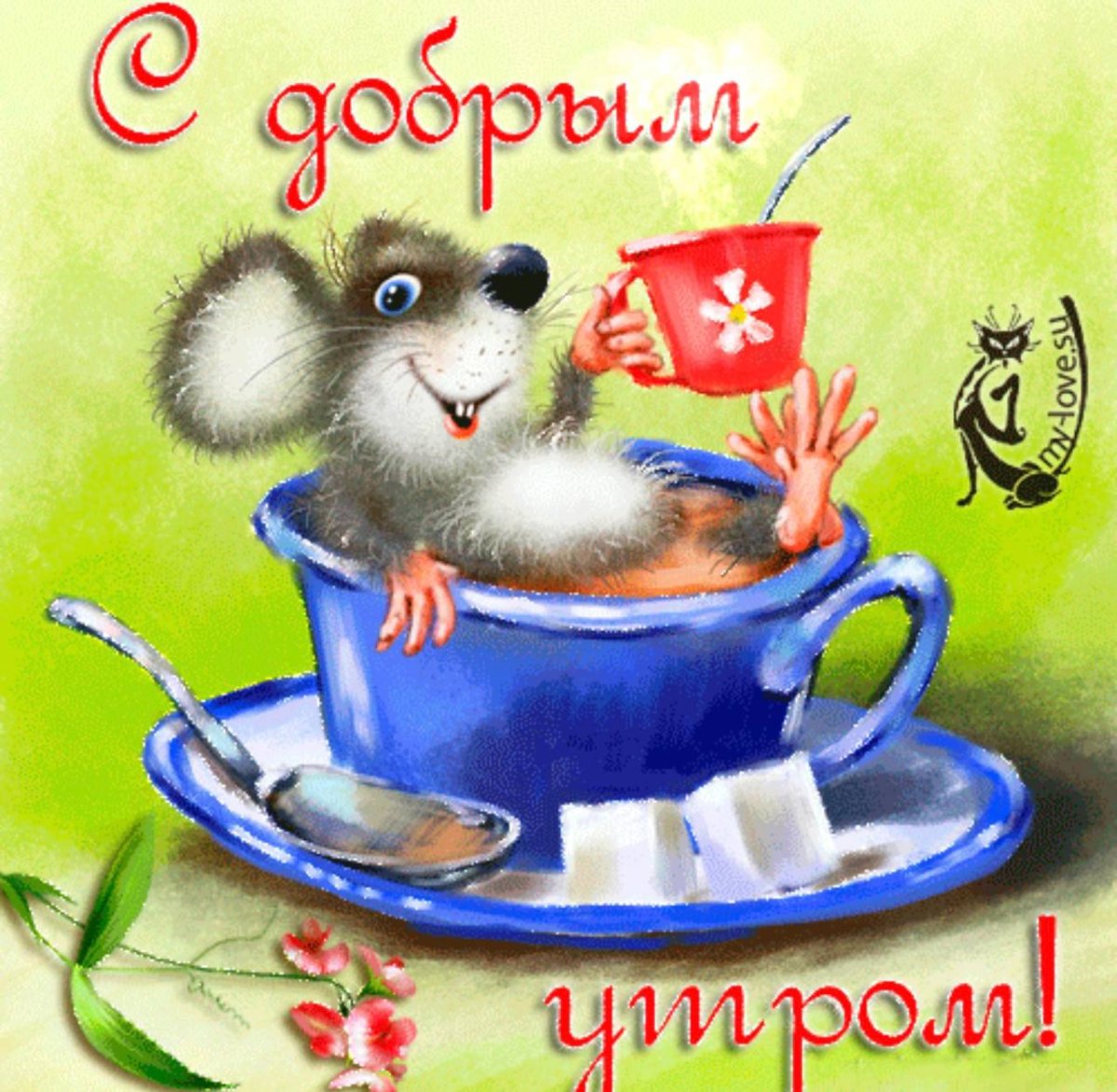 Открытки с добрым утром п