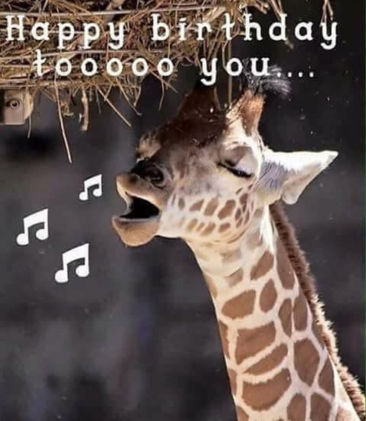 Жирафик с цветами