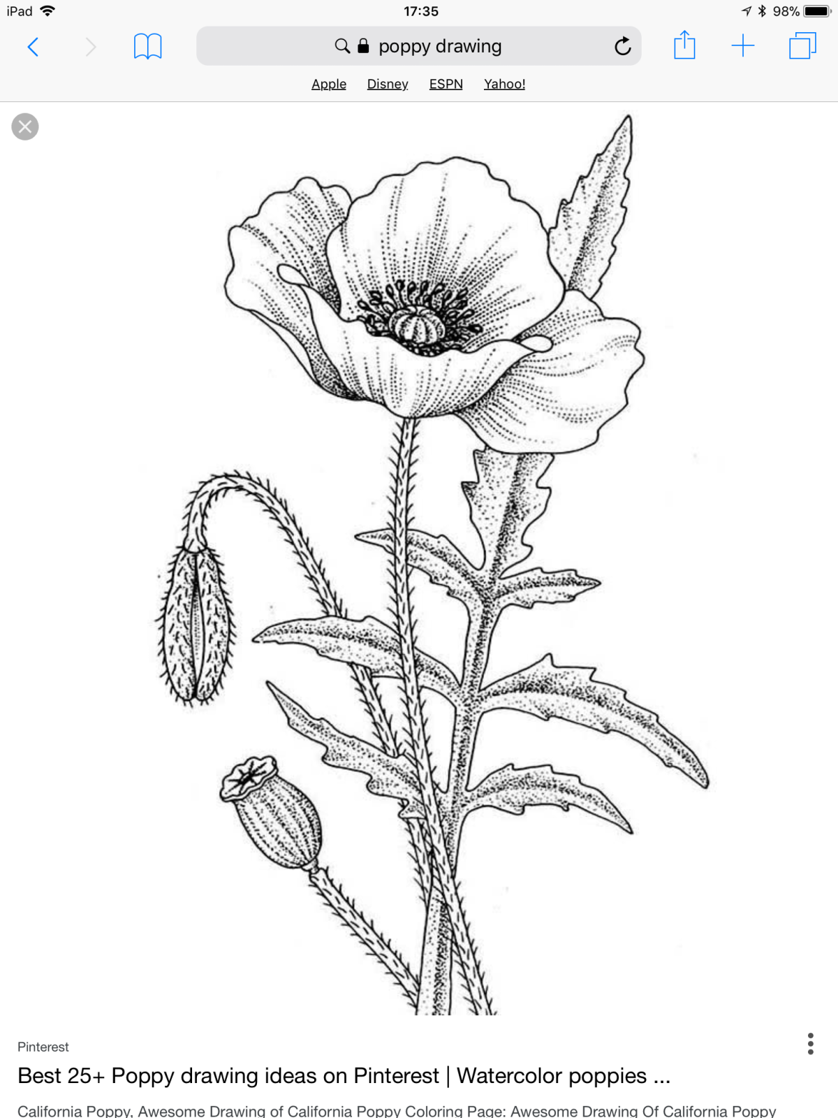 Рисунки карандашом