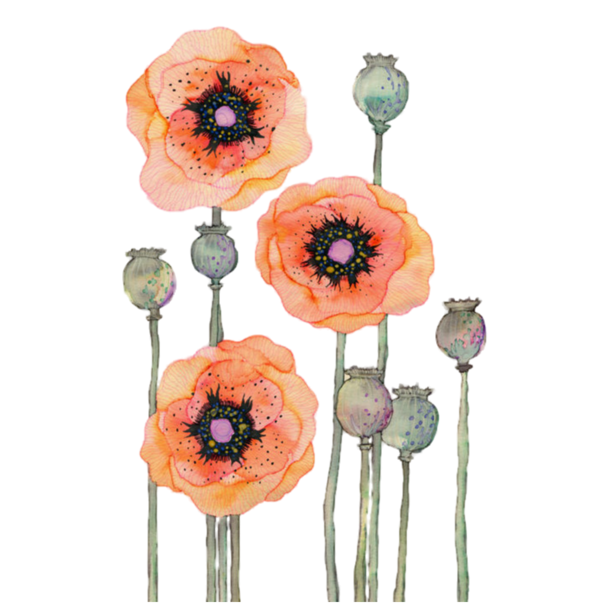 Необычные цветы акварелью