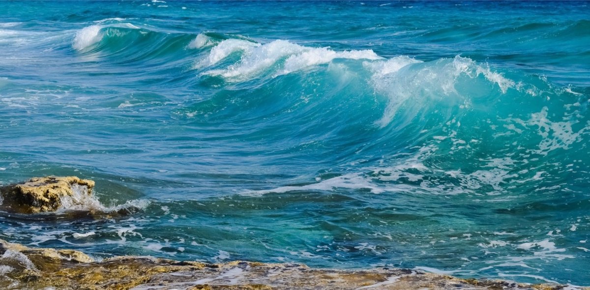 Дети на море