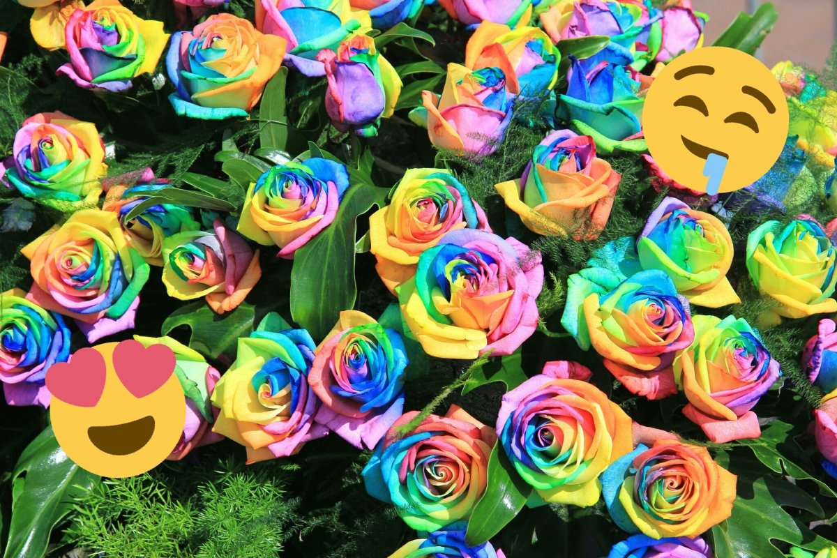 Цветы маленькие разноцветные