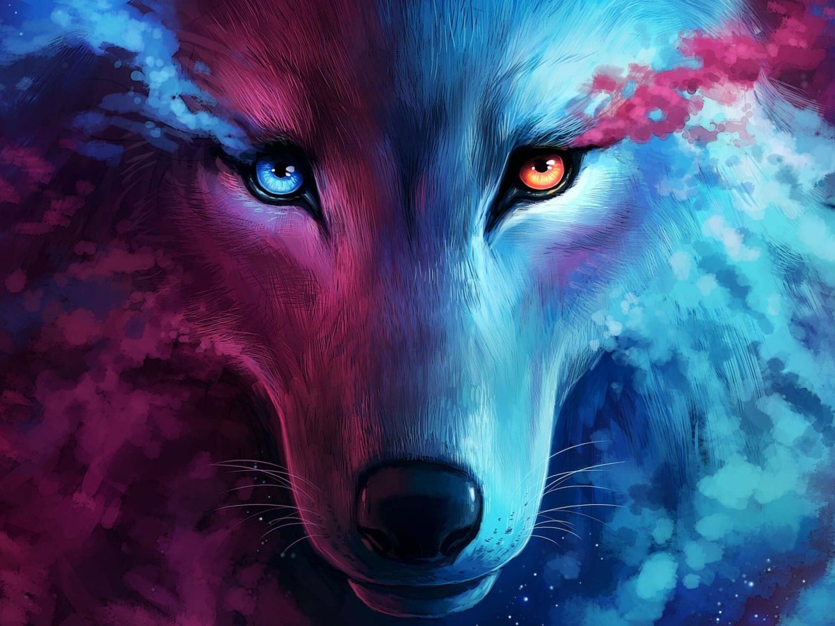 Обои на рабочий стол волк