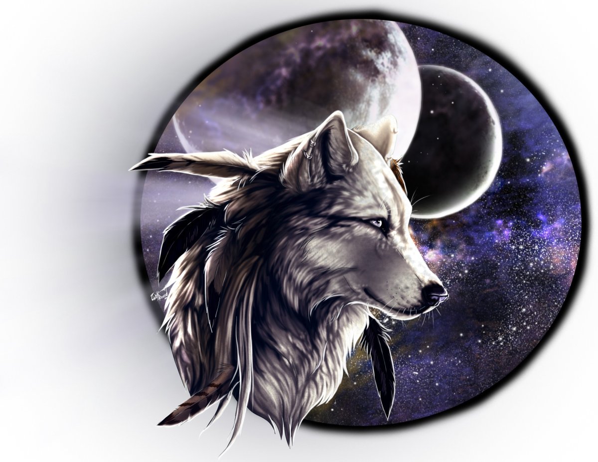 Волк морда цветная