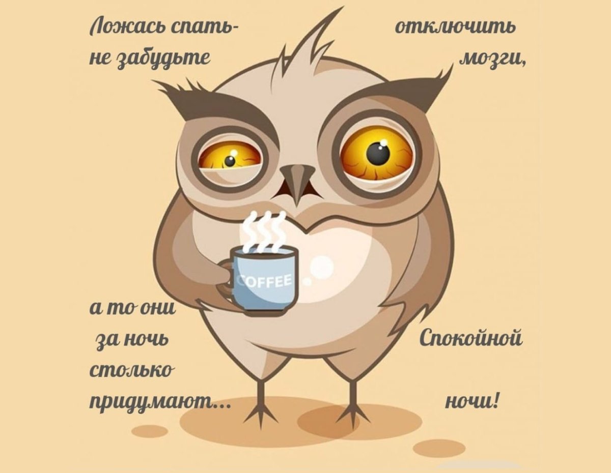 Совенок с кофе