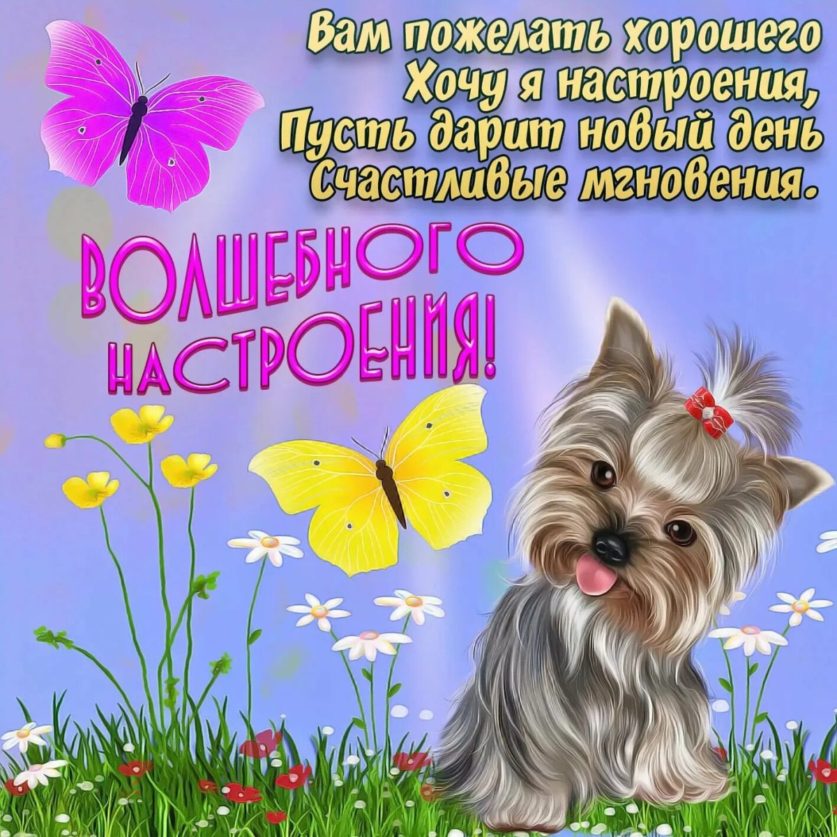 Открытки Веселые и добрые