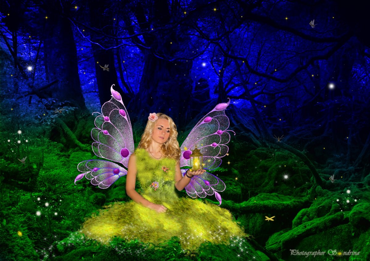 Фея ночи